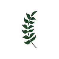 leaf branch graphic design template vector