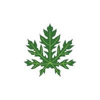 papaya leaf graphic design template vector