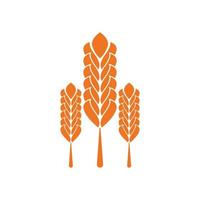 plantilla de diseño de logotipo de icono de trigo y arroz vector