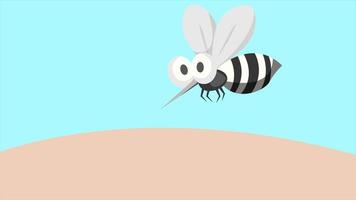Mosquito Stock Video Footage for Free Download Mosquito Stock Video Footage for Free Download