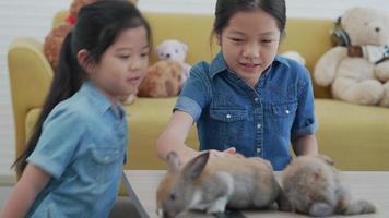 frères et sœurs asiatiques jouant avec un lapin ensemble à la maison video