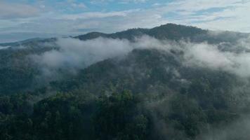 vue aérienne paysage brouillard couvre les montagnes le matin video