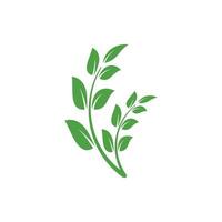 leaf logo icon design template vector