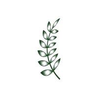 leaf branch graphic design template vector