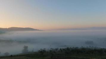 nascer do sol com neblina matinal na floresta video