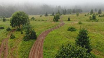 Aerial flight over a mountain glade. Meadow and sparse forest, foggy morning. A muddy road.