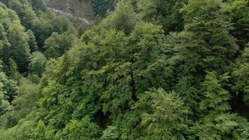 een grote waterval midden in het regenwoud. luchtbeelden van een hoge waterval. filmische luchtfoto van de natuur. video