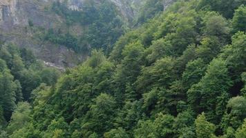 une grande cascade au milieu de la forêt tropicale. images aériennes d'une haute chute d'eau. photo aérienne cinématographique de la nature. video