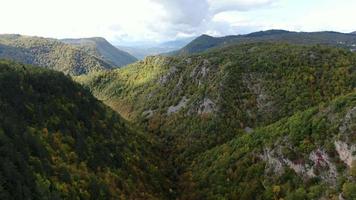 drone schoot in de herfst over een rivierkloof. luchtfoto boven een rivier en herfstbos. natuur achtergrond filmische opname. video