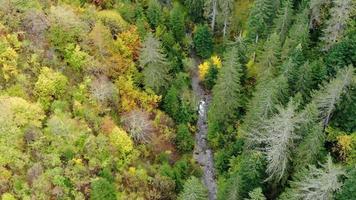 Drohnenschuss über einer Flussschlucht im Herbst. Luftaufnahme über einem Fluss und Herbstwald. filmische Aufnahme des Naturhintergrundes.