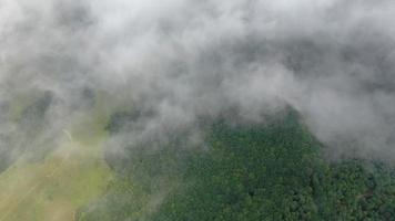 vuelo aéreo a través de las nubes y la niebla video