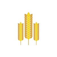 Wheat and rice icon logo designs vector image