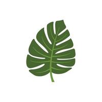 vector de plantilla de diseño de icono de logotipo de hoja de monstera