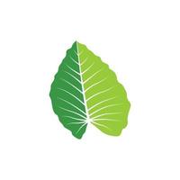 green leaf graphic design template vector