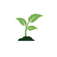 vector de plantilla de diseño de icono de logotipo de hoja