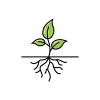 plant root icon design template vector