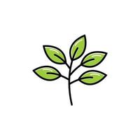 leaf branch icon design template vector