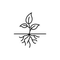 plant root icon design template vector