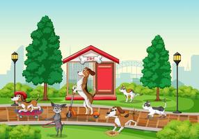 A group of different dog do various activities in the park vector