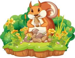 A squirrel eating nuts on island vector