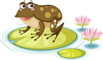 Cute frog on lily pad on white background vector