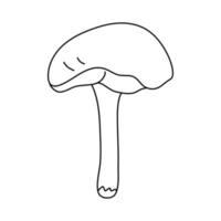 Yellow boletus mushroom in doodle style. Isolated outline vector