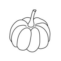 Pumpkin or squash in doodle style. Isolated outline. Hand drawn vector illustration in black ink on white background. Great for coloring books. Farming garden theme.