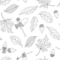 Autumn vector seamless pattern with different leaves and acorns on white background.