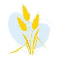 Bouquet of spikelets of wheat . Vector illustration