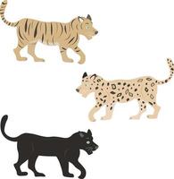 set of various wild cats vector