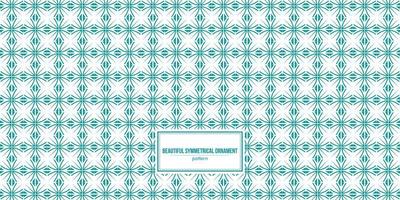 beauty turquoise symmetrical line pattern vector