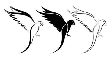 parrot icon, silhouette flying bird vector