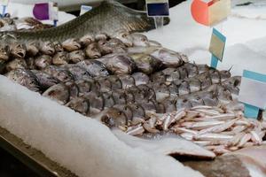 captura fresca de pescado a la venta en el puesto del mercado foto