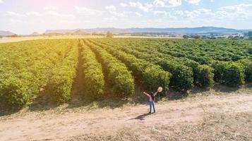 Young farmer woman checking out her coffee plantation. Brazilian farmer. Agronomist's day. photo