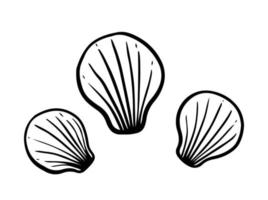 Seashells isolated on white background. Vector hand-drawn illustration in doodle style. Perfect for your project, card, logo, decorations.