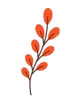 Twig with orange leaves isolated on white background. Vector hand-drawn illustration in cartoon flat style. Perfect for your project, cards, invitations, print, decorations.