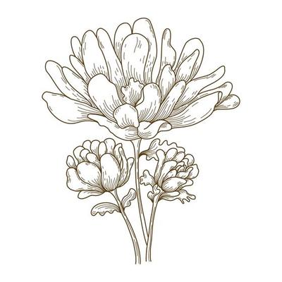 Vector floral line art illustration designed in brown tone doodle style on white background for decorating cards, wedding cards, scrapbooks, covers, clothing patterns and more