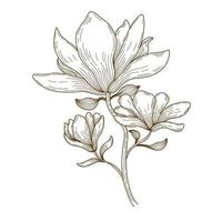 Vector floral line art illustration designed in brown tone doodle style on white background for decorating cards, wedding cards, scrapbooks, covers, clothing patterns and more
