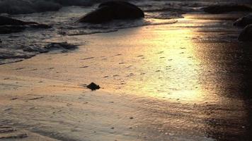 hermosa puesta de sol playa de arena del océano y textura de la superficie del agua. olas espumosas con cielo y nubes. hermosa playa tropical. increíble costa de arena con olas de mar blanco. concepto de naturaleza y verano. video