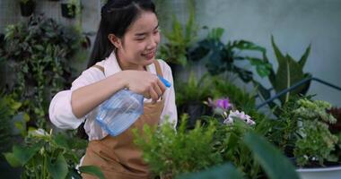 porträtt av en glad ung asiatisk kvinnlig trädgårdsmästare som använder en sprayflaska som vattnar på lövväxter och tittar på kameran på morgonen i trädgården. hem grönska, hobby och livsstilskoncept. video
