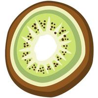 ilustración vectorial aislada de kiwi. vector