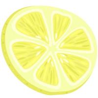 Vector isolated illustration of slice of lemon.