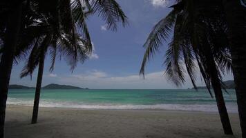 Beach space area with palm tree. Foamy waves with sky and clouds. Beautiful tropical beach. Amazing sandy coastline with white sea waves. Nature, seascape and summer concept. video