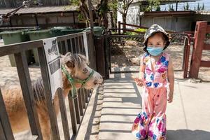 Adorable child girl looking at camera and holding carrot to feed horse or pony at zoo. Asian tourist kid wearing medical protective mask for epidemic prevention Covid-19. Health care concept photo