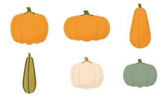 A set of pumpkins of different shapes and different colors. Cartoon. Vector illustration