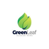 Green Leaf Logo Template vector
