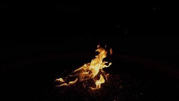 Feuerstelle am Hintergrund des Nachtlebens video