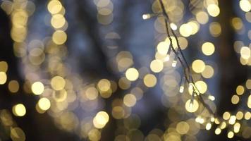 gouden bokeh van gouden led-licht op boom