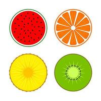 Set of fruit halves in circle on white. Slices of pineapple, kiwi, orange, watermelon. Vector icons.