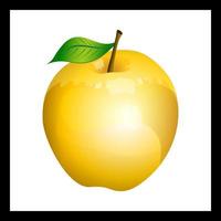 Fresh yellow apple on white background vector illustration